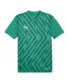 PUMA teamGLORY Trikot Grün Weiss Grün F05 - gruen