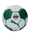 PUMA SK Rapid Wien Ess Miniball Weiß F01 - weiss