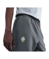 Nike Brazil Reissue 2004 Trainingshose Grau F021 - grau