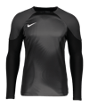 Nike Gardien IV Torwarttrikot langarm Grau F060 - grau
