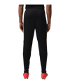 Nike CBF Brasilien Academy Pro Trainingshose Schwarz F010 - schwarz