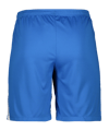 Nike Dri-FIT League 3 Short Blau F463 - dunkelblau