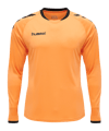 Hummel Core GK Torwarttrikotset Kids Orange F5006 - orange