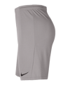 Nike Park III Short Kids Grau F017 - grau