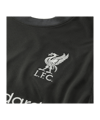 Nike FC Liverpool Trikot Away 2024/2025 Grau F322 - grau