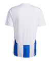 adidas Striped 24 Trikot Weiss Blau - weiss