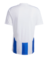 adidas Striped 24 Trikot Weiss Blau - weiss
