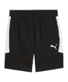 PUMA teamEVOSTRIPE Short Schwarz F03 - schwarz