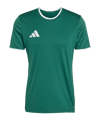 adidas Entrada 26 Trikot Grün - gruen