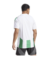 adidas Striped 24 Trikot Weiss Grün - weiss