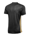 Nike Park Derby IV Trikot Kids Schwarz Gold F011 - schwarz