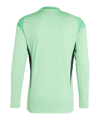 adidas Tiro 25 Competition Torwarttrikot Grün - gruen
