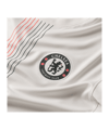 Nike FC Chelsea London Trikot Away 2025/2026 Grau F031 - grau
