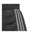 adidas Squadra 25 Short Schwarz/Grau - schwarz