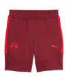 PUMA Red Bull Salzburg Evostripe Short Rot F10 - rot