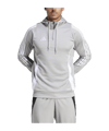adidas Tiro 24 Training Hoody Grau Weiss - grau