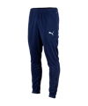 PUMA teamRISE Poly Trainingshose Blau Weiss F06 - blau