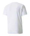 PUMA teamLIGA Striped Trikot Weiss Schwarz F04 - weiss