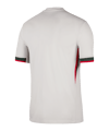Nike FC Chelsea London Trikot Away 2025/2026 Grau F031 - grau