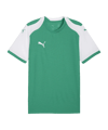 PUMA teamFINAL26 Knit Trikot Grün F05 - gruen