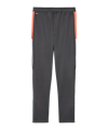 PUMA Individualliga Trainingshose Kids Grau F10 - grau