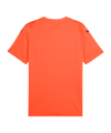 PUMA teamULTIMATE Trikot Orange F38 - orange