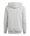 adidas Tiro 24 Hoody Kids Grau Weiss - grau