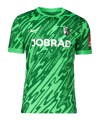 Nike SC Freiburg Torwarttrikot 2025/2026 Grün F329 - gruen
