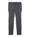 PUMA IndividualLIGA Trainingshose Grau F08 - grau