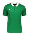 Nike Park 20 Poloshirt Grün Weiss F302 - gruen
