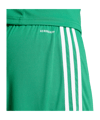 adidas Squadra 25 Short Grün - gruen