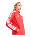 adidas Benfica Lissabon Anthem Jacke Rot - rot