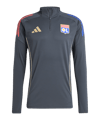 adidas Olympique Lyon Competition Sweatshirt Grau - grau