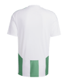 adidas Striped 24 Trikot Weiss Grün - weiss