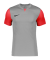Nike Trophy V Trikot Grau F052 - grau