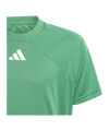 adidas Fortore 23 Trikot Kids Grün Weiss | - gruen