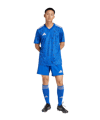adidas Team Icon 25 Trikot Hellblau - blau