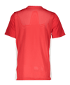 Nike Park Derby IV Trikot Kids Rot F657 - rot