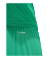 adidas Entrada 26 Short Grün - gruen