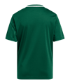 adidas Trikot Kids Grün - gruen
