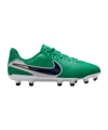 Nike Legend 10 Academy LV8 FG/MG Fear Nothing Kids Grün F300 - gruen