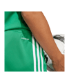 adidas Squadra 25 Short Kids Grün - gruen