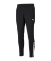 PUMA teamLIGA Trainingshose Schwarz F03