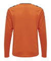 Hummel Authentic Poly Trikot langarm Kids F5006 - orange