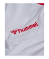 hummel DBU Dänemark Short Home 2026 Weiß F9001 - weiss