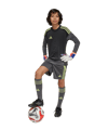 adidas Tiro 25 Competition Torwarttrikot Kids Grau - grau
