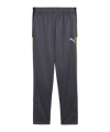 PUMA IndividualLIGA Trainingshose Kids Grau F08 - grau