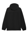 PUMA BVB Dortmund ftblMonochrm Kapuzenjacke - schwarz