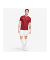 Nike Park VII Trikot kurzarm Rot F677 - rot