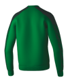 Erima EVO STAR Sweatshirt Grün F1072414 - gruen